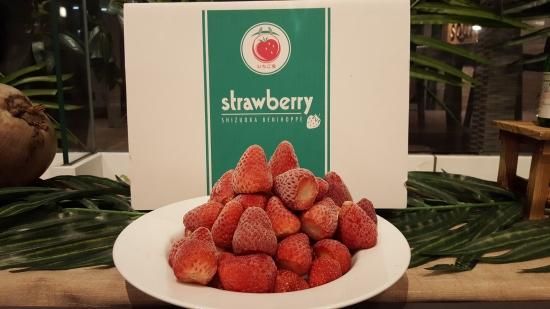 イチゴ 苗 紅ほっぺ苗　30苗セット イチゴの苗 紅ほっぺ苗 30セット 苗 紅ほっぺ」の人気商品一覧 | 安い