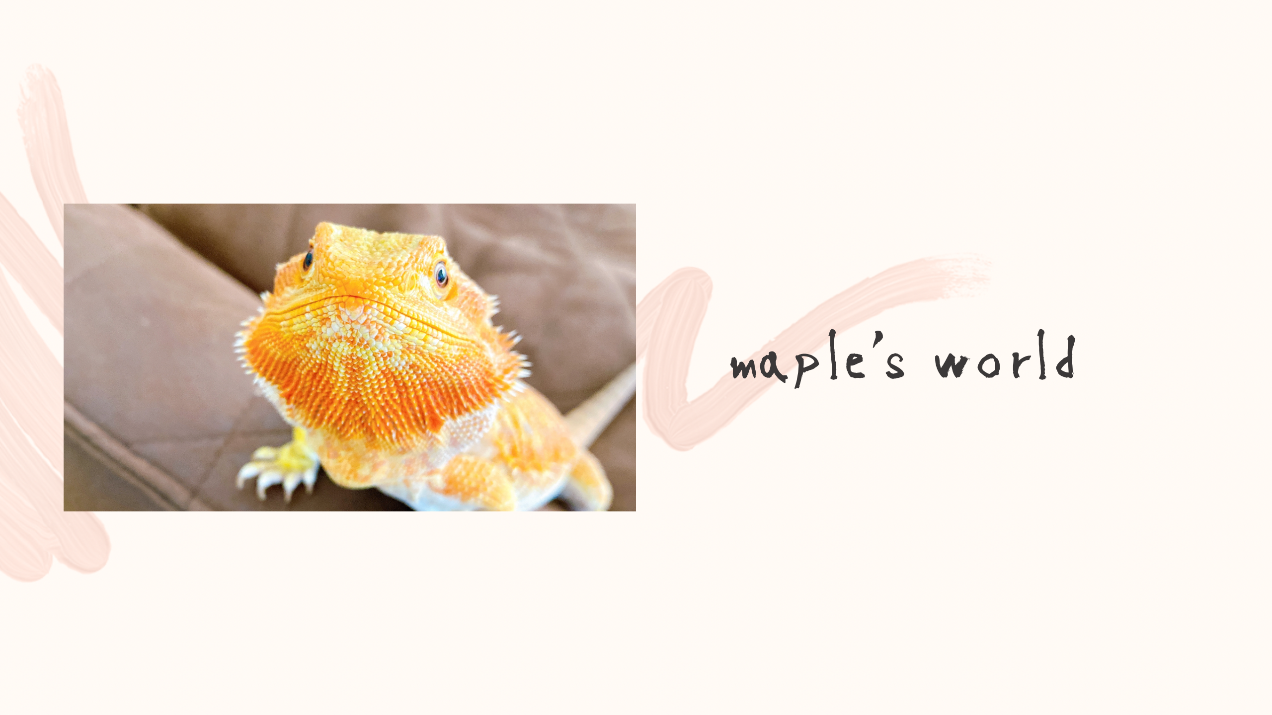 『Maple's world』