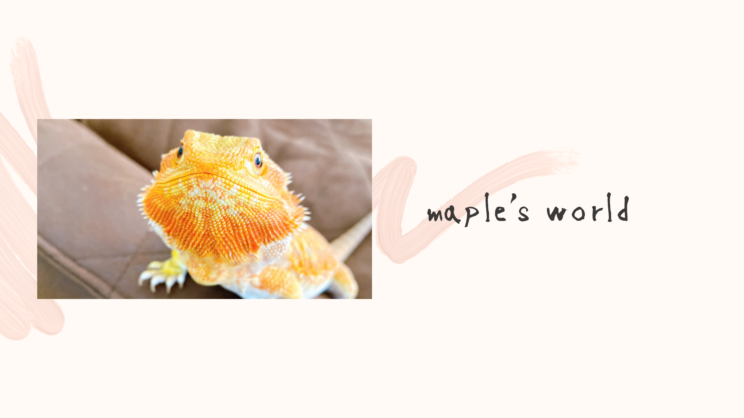 Maple's world