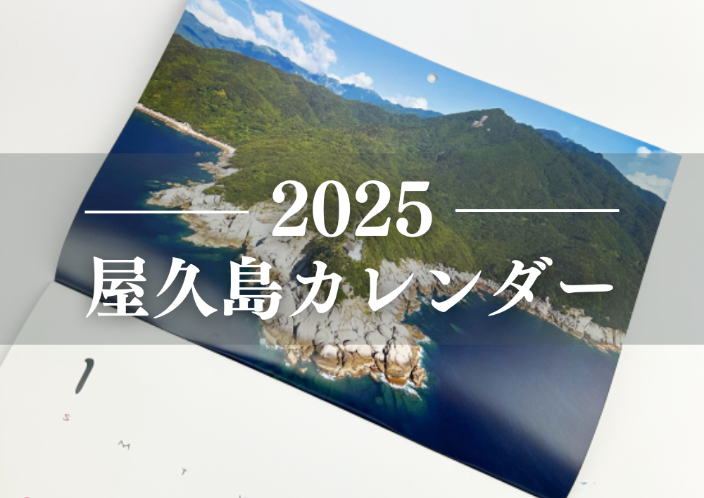 2025カレンダーサムネイル