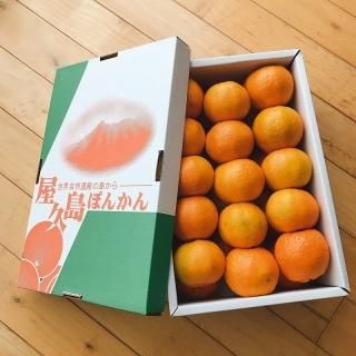屋久島ぽんかん - 屋久島の特産品・お土産通販 ぷかり堂