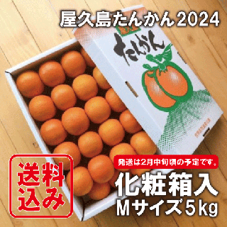 ڤͽ2024礿󤫤M5kg£ѡյͤ