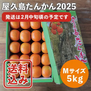 季節限定】たんかん - 屋久島の特産品・お土産通販 ぷかり堂