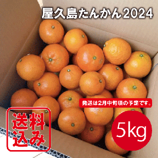 ڤͽ2024礿󤫤ڥХ5kgյͤ