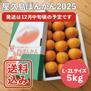 <img class='new_mark_img1' src='https://img.shop-pro.jp/img/new/icons25.gif' style='border:none;display:inline;margin:0px;padding:0px;width:auto;' />ͽۡ2LLƱʡ ݤ󤫤L / 2L5kgȢ2025