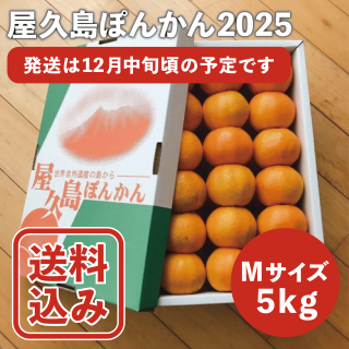 <img class='new_mark_img1' src='https://img.shop-pro.jp/img/new/icons25.gif' style='border:none;display:inline;margin:0px;padding:0px;width:auto;' />ͽ۲ݤ󤫤M5kg۲Ȣ2025