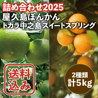 <img class='new_mark_img1' src='https://img.shop-pro.jp/img/new/icons25.gif' style='border:none;display:inline;margin:0px;padding:0px;width:auto;' />ͽ۲ݤ󤫤ߥȥǷ祹ȥץ󥰡5kgͤ碌2025