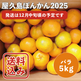 <img class='new_mark_img1' src='https://img.shop-pro.jp/img/new/icons25.gif' style='border:none;display:inline;margin:0px;padding:0px;width:auto;' />ͽ۲ݤ󤫤5kgۥХ2025