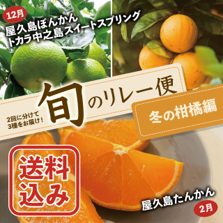 <img class='new_mark_img1' src='https://img.shop-pro.jp/img/new/icons25.gif' style='border:none;display:inline;margin:0px;padding:0px;width:auto;' />ͽ12ݤ󤫤ȥץ󥰢2󤫤ڽܤΥ졼ء(2Ϥ)2025