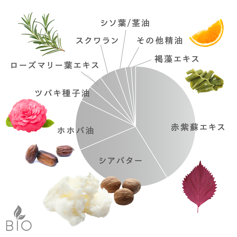 SHIZOOJU｜シズージュ｜赤紫蘇｜日本の伝統的な植物からつくられた、日本人に合ったスキンケア化粧品、自然派シャンプー