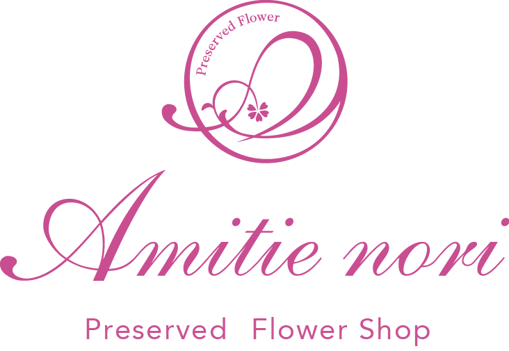 ץꥶ֥ɥեΥåԥ󥰡Amitie nori OnlineShop