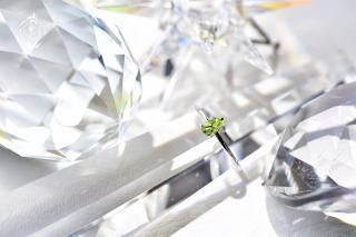 ɥåסߥڥɥå ڥ󥰡