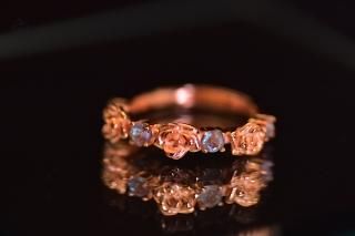 ϡե˥ƥAnt.եå ڥ󥰡