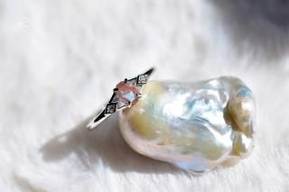 miniХAnt.եå SV/󥰡