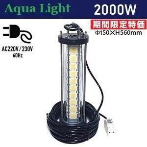 <img class='new_mark_img1' src='https://img.shop-pro.jp/img/new/icons20.gif' style='border:none;display:inline;margin:0px;padding:0px;width:auto;' />ڴָò 11/24ۡڼʡۡAC220V͡㥱֥20MաVAץƥա 2000W LED潸ȯСˢ̾ 99,000