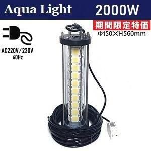 <img class='new_mark_img1' src='https://img.shop-pro.jp/img/new/icons20.gif' style='border:none;display:inline;margin:0px;padding:0px;width:auto;' />ڴָò 11/24ۡڼʡۡAC220V͡㥱֥20MաVAץƥա 2000W LED潸ȯˢ̾ 99,000