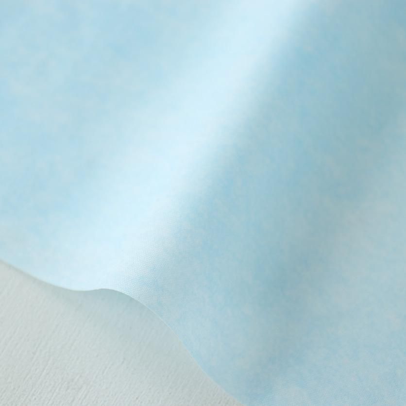 大切な人へのギフト探し 和紙（ライトブルー） fabric 生地と型紙の通販サイト：nunocoto - その他