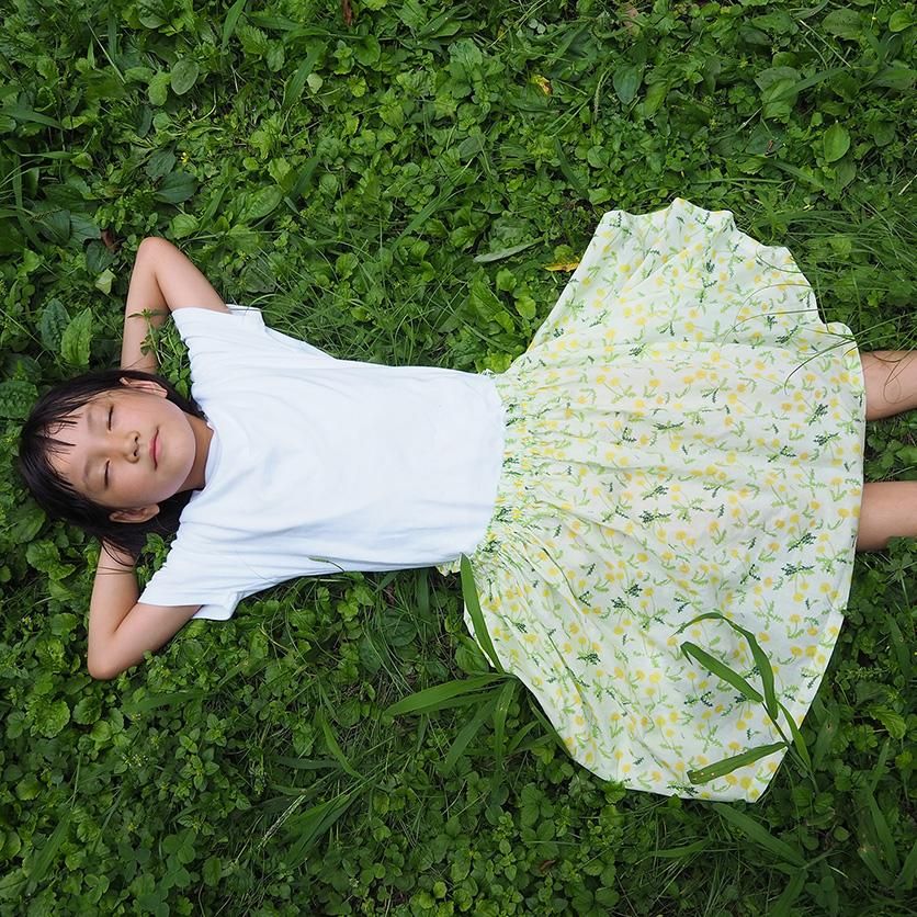 たんぽぽ 花柄- 布・生地の通販サイト:nunocoto fabric たんぽぽ 花柄- 布・生地の通販サイト:nunocoto fabric