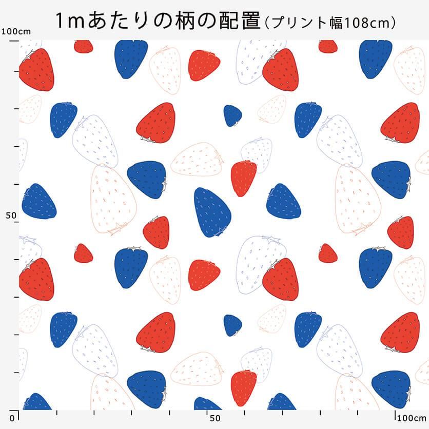 赤青いちご フルーツ柄- 布・生地の通販サイト：nunocoto fabric