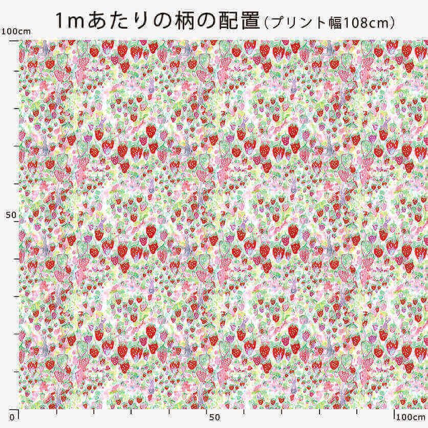いちご畑とウサギ - 生地と型紙の通販サイト：nunocoto fabric