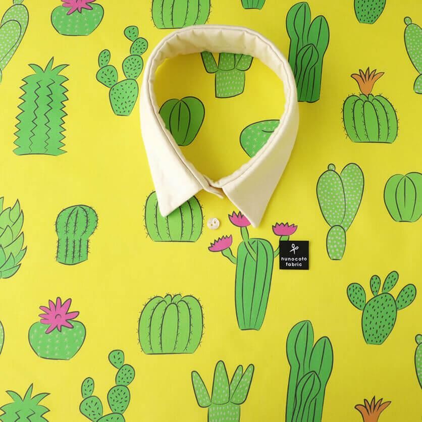 さぼてん様 ❸ナチュラル 楽天市場】【サボテン 多肉植物 5種類 寄せ植え / ガラスレクト