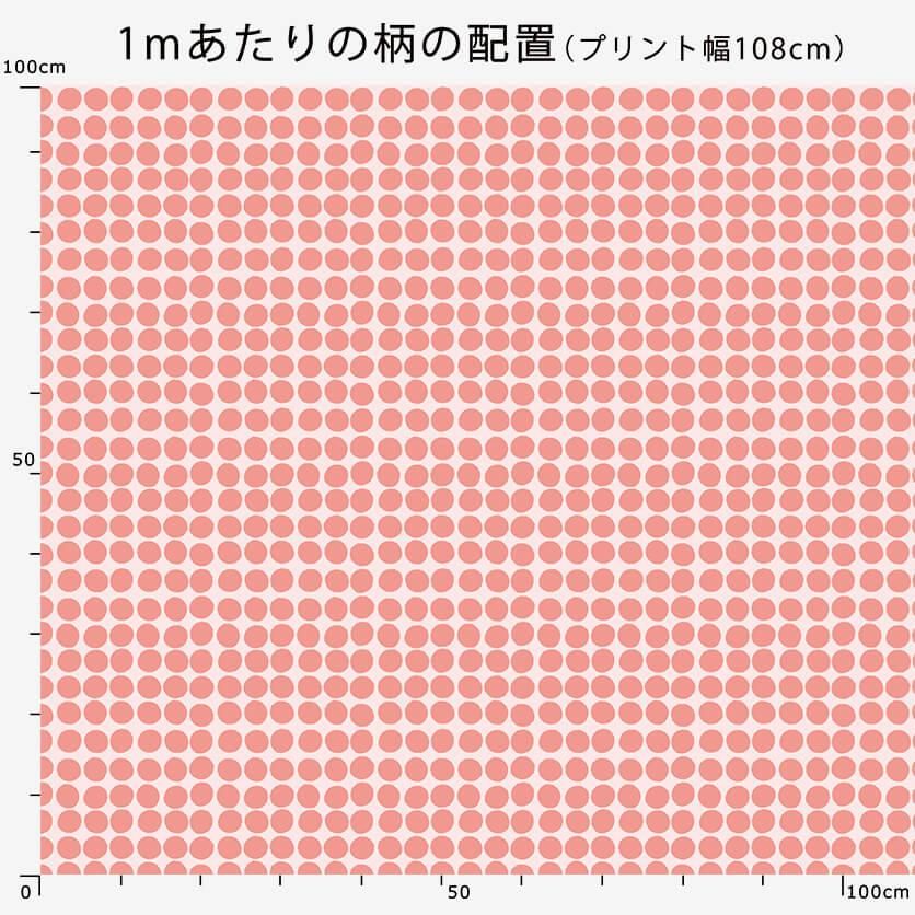 Amazon.co.jp: ピエール マルコリーニ 日本公式 マカロン 8個