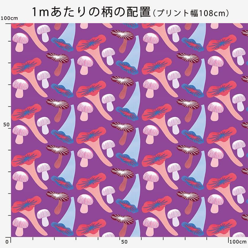 どくきのこ ミッドウィンター 毒キノコ トードストゥール ティートリオ