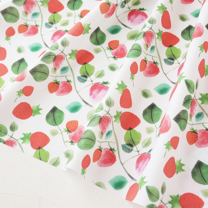 いちご畑 いちご柄- 布・生地の通販サイト：nunocoto fabric
