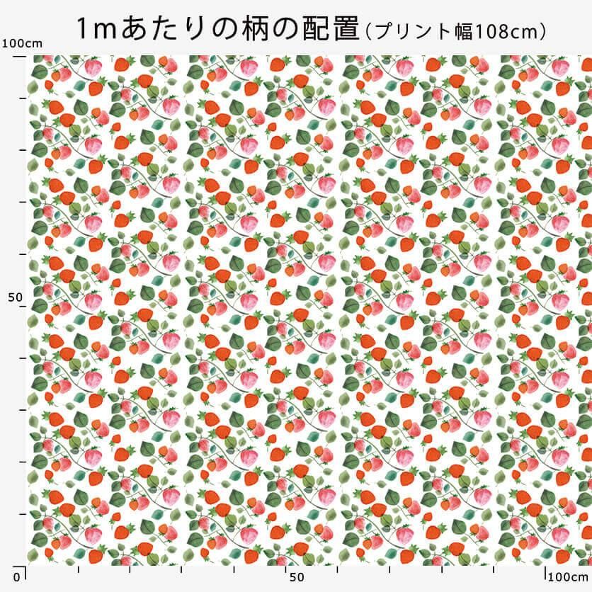 いちご畑 いちご柄- 布・生地の通販サイト：nunocoto fabric