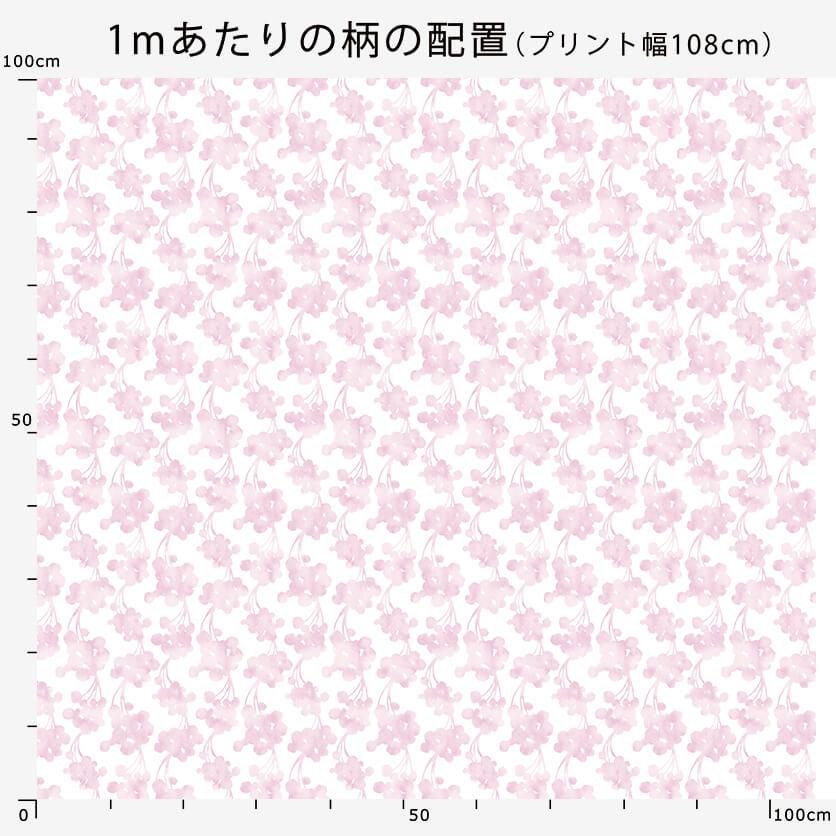 新品　和亜布　プルオーバー　薄桜 SACRA｜ サクラ｜ バック異素材プルオーバーカットソー