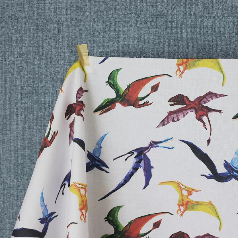 翼竜 恐竜柄- 布・生地の通販サイト：nunocoto fabric