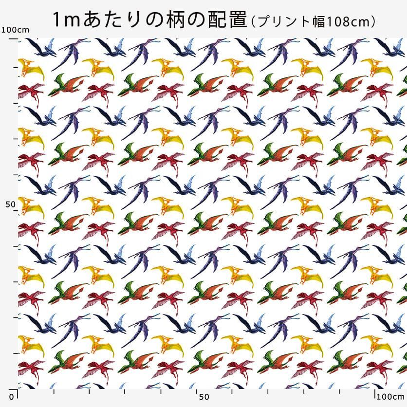 Amazon.co.jp: 恐竜トリケラトプスとアロサウルス: 再びジュラ紀