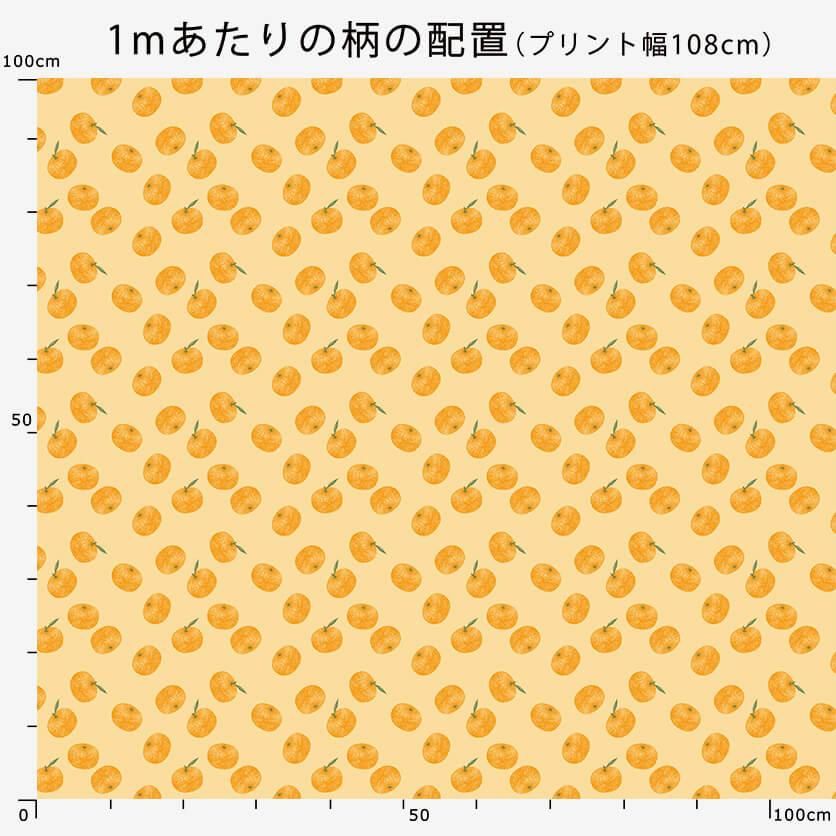 柑橘 【柑土里ファーム】 ネーブル しらぬい 2種類入り 3.5kg