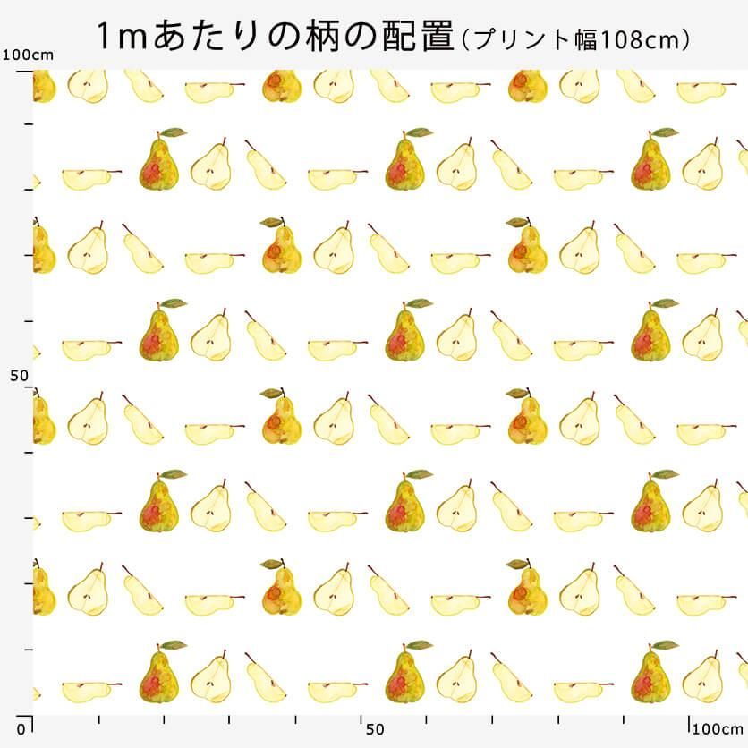 洋梨 フルーツ柄- 布・生地の通販サイト：nunocoto fabric