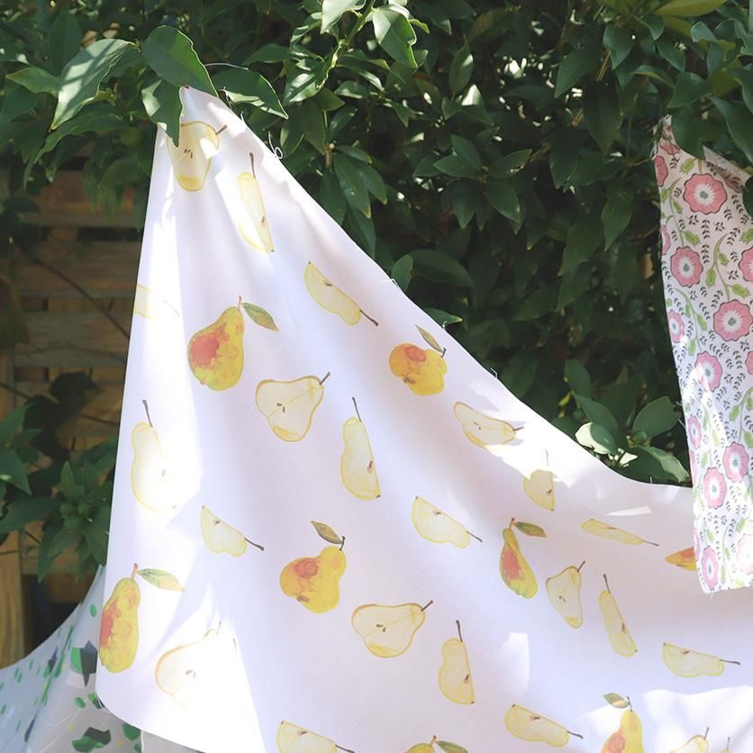 洋梨 フルーツ柄- 布・生地の通販サイト：nunocoto fabric