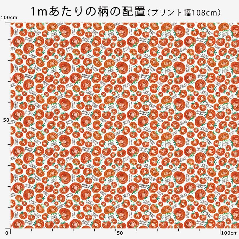 TOMATO（ブルー）やさい柄- 布・生地の通販サイト：nunocoto fabric