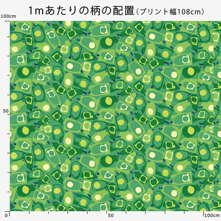 アボカドたち（ホワイト）野菜柄- 布・生地の通販サイト