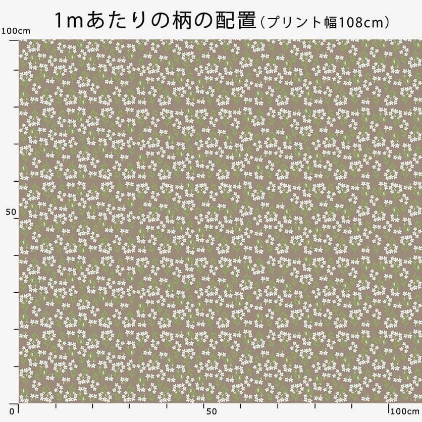 楽天市場】【押し花】ワスレナグサ 約12枚 ドライフラワー 花 は