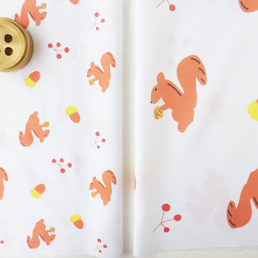 りす 動物柄- 布・生地の通販サイト：nunocoto fabric