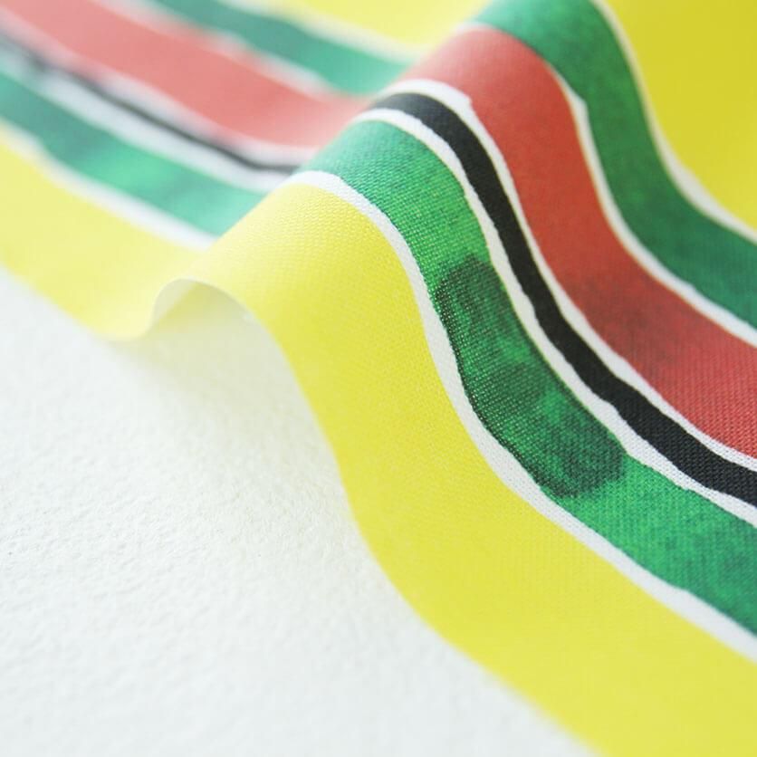 Mexico border ボーダー柄- 布・生地の通販サイト：nunocoto fabric