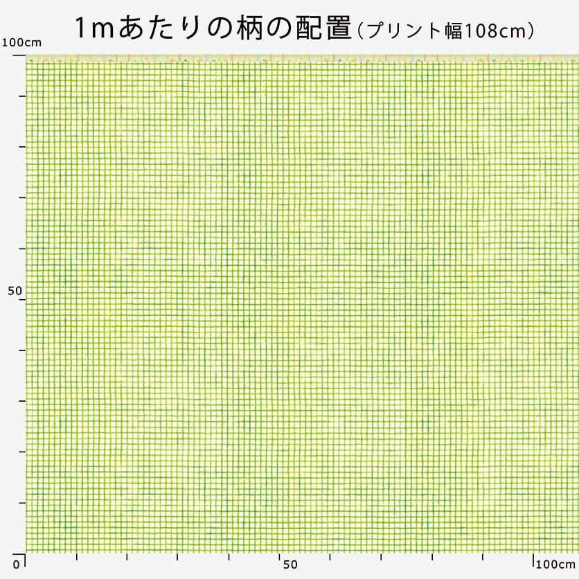 Lime check チェック柄- 布・生地の通販サイト：nunocoto fabric