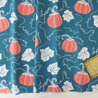 Playful Pumpkin Vinesʥͥӡ֥롼