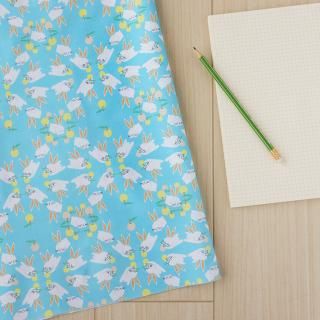 リンゴ柄の布・生地 | nunocoto fabric