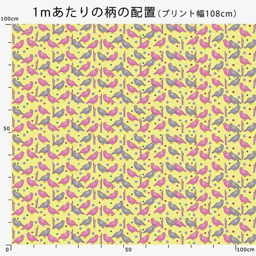 灰色のハト st1467-d-1.jpg