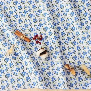 Sweet blueberries miniʥ֥롼