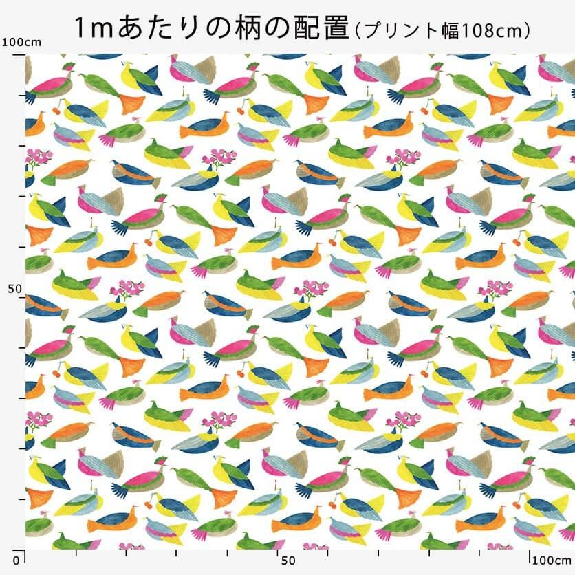 sitting birds 鳥柄- 布・生地の通販サイト：nunocoto fabric