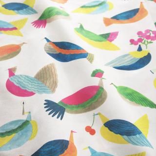 sitting birds