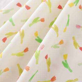 Spring Tulipsʥ