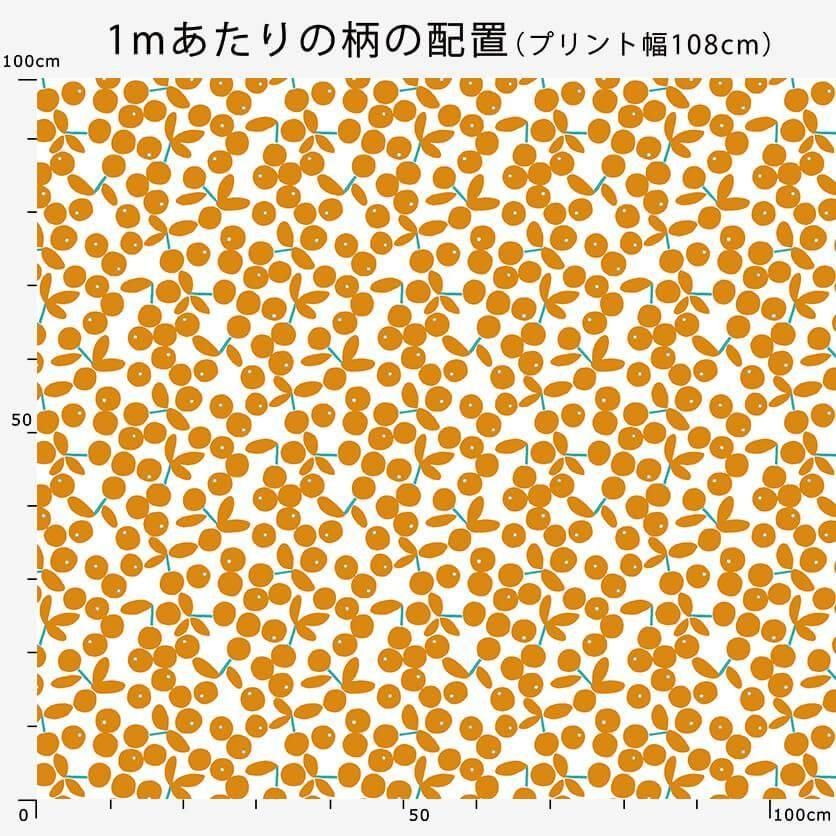 Sinary：環境革命のシナリー：シナリー株式会社