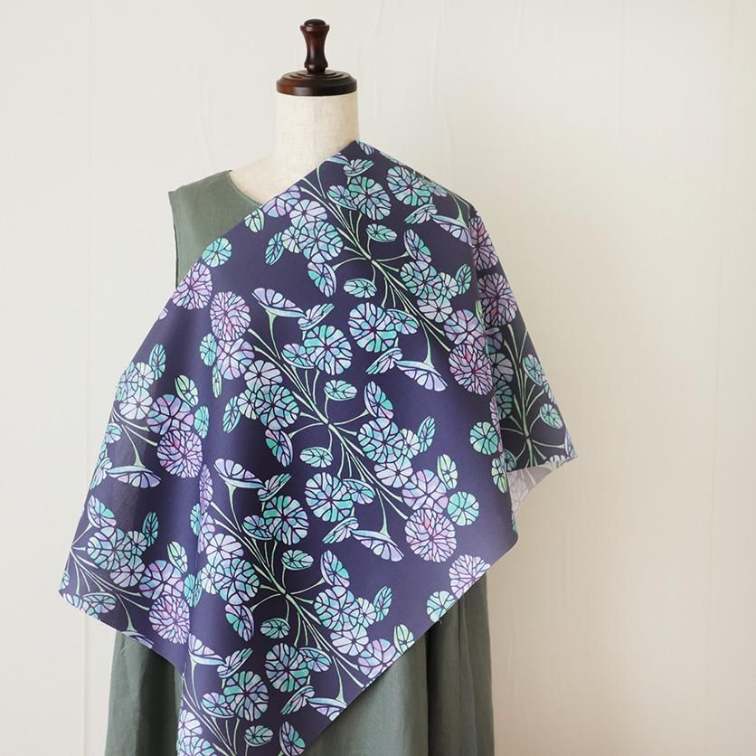 ステファニア 楽天市場】塊根 植物 ステファニ アの通販